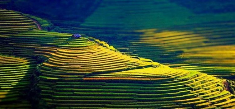 TOUR DU LỊCH HÀ GIANG - HOÀNG SU PHÌ - XÍN MẦN - THÁC TIÊN