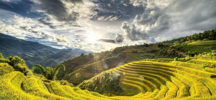 DU LỊCH MÙ CĂNG CHẢI: HÀ NỘI - NGHĨA LỘ - MÙ CĂNG CHẢI - HÀ NỘI