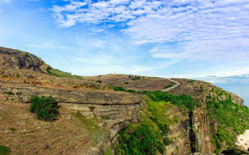 DU LỊCH LÝ SƠN - ĐÓN KHÁCH CẢNG SA KỲ